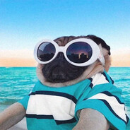 Dogski