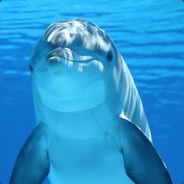 Dolphin