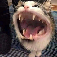 [as]