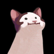 Snacarus