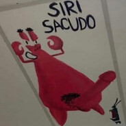 Siri Sacudo