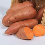 Sweetpotato