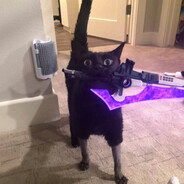 CoolCat