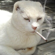 Tobaccat