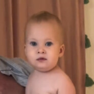vlogar