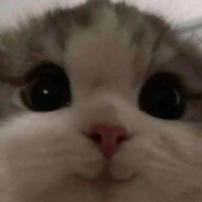 rubibubi uwu