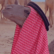 Mashlam_Habib
