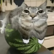 YungFowwa
