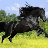Klovn123