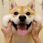 DIU雷楼某个嗨～<3