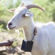 Penneguy