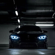 ♿Shadow♿