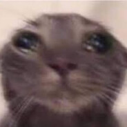 sad kitty