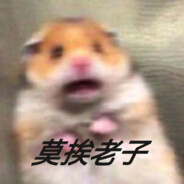 我观风月