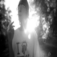 fwss