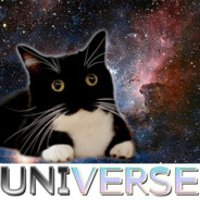 silli UNIverse