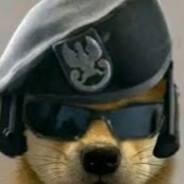 Nok