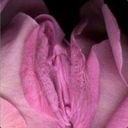smelly flower