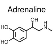 Adrenaline