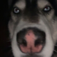 gubi