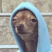 Autistic Dog
