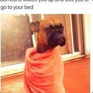 pupperdoodle