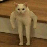 Котъ