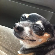 nAes_