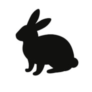 BLACK RABBITS MATTER
