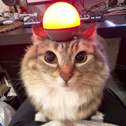 Agent Meowster