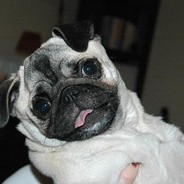 PUG