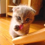 oleg0766