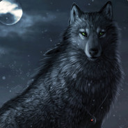 DarkWolf1_1