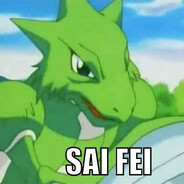 Sai Fei