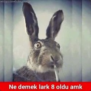 ............
