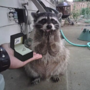 Kiss me