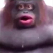 stinkyyy poo poo