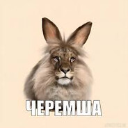 Cheremshamode777
