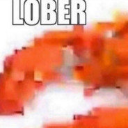 Velm