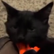 Suicide_Puss