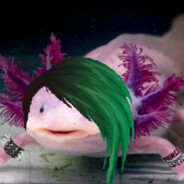 AngstyAxolotl