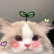 sayurii