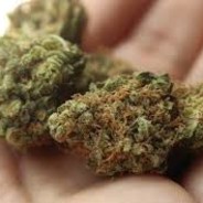 $_4 2 0_$