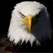 THEtutor