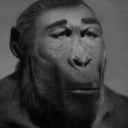 GIGA MONKEY