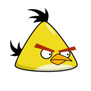Derter