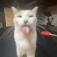 bibi