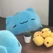 Hayate乙