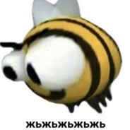 Жъжъь