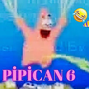 pipican